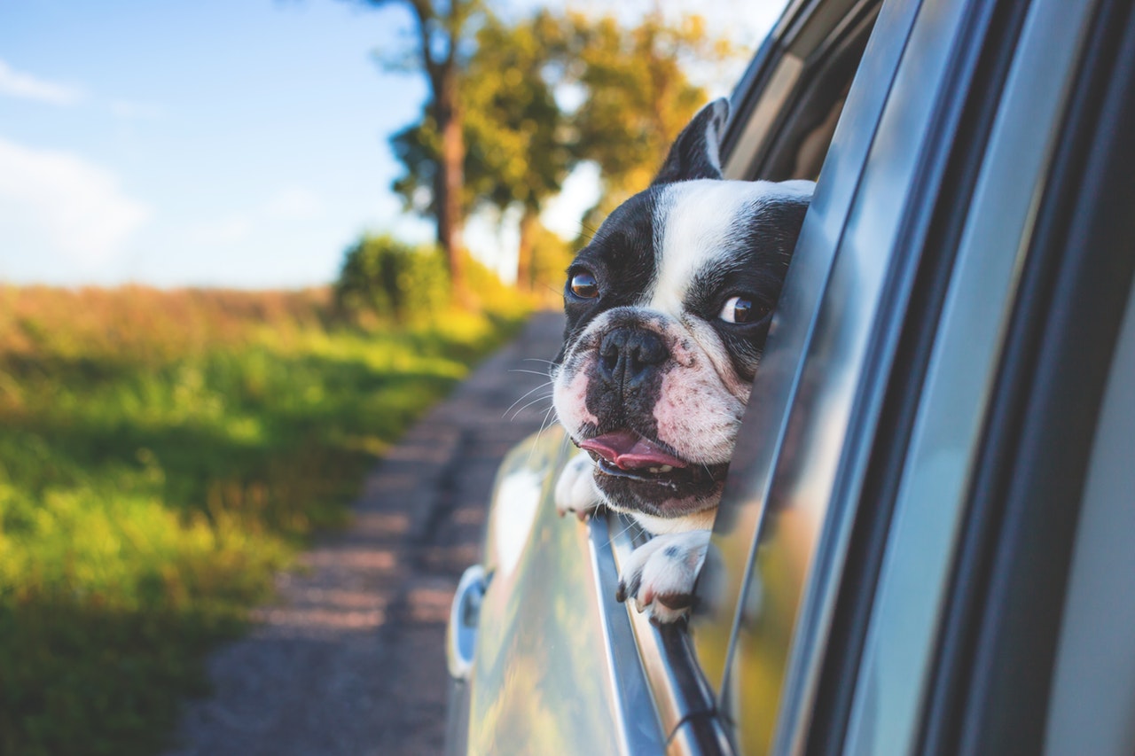 new auto loans
